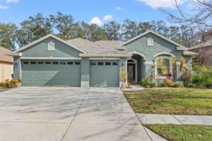 1908 BLUE RIVER ROAD, HOLIDAY, FL 34691 Sold 12/27/24