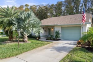 11626 WHITE ASH DRIVE, NEW PORT RICHEY, FL 34654 Sold 12/09/24