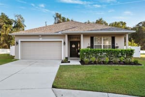 11960 PALM BAY COURT, NEW PORT RICHEY, FL 34654 Sold 12/31/24
