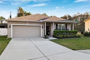 11960 PALM BAY COURT, NEW PORT RICHEY, FL 34654 Sold 12/31/24
