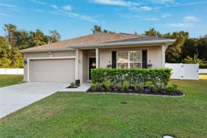 11960 PALM BAY COURT, NEW PORT RICHEY, FL 34654 Sold 12/31/24