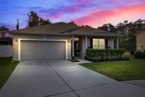 11960 PALM BAY COURT, NEW PORT RICHEY, FL 34654 Sold 12/31/24