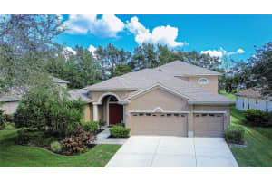 1521 BRILLIANT CUT WAY, VALRICO, FL 33594 Sold 05/13/25