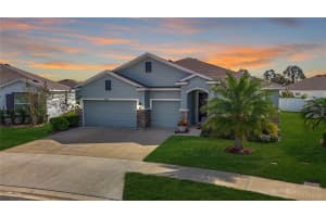 13444 GOLDEN LIME AVENUE, SPRING HILL, FL 34609 Sold 06/20/25