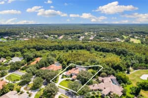 18123 LONGWATER RUN DRIVE, TAMPA, FL 33647 Sold 12/24/24