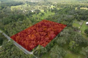 3239 ENDSLEY ROAD, BROOKSVILLE, FL 34604 Sold 11/25/24