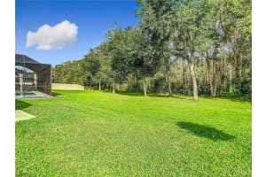 20682 MONZA LOOP, LAND O LAKES, FL 34638 Sold 12/20/24