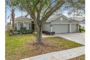 4249 BALINGTON DRIVE, VALRICO, FL 33596 Sold 03/26/25
