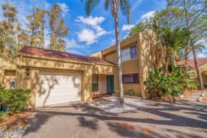 3401 ELLENWOOD LANE, TAMPA, FL 33618 Sold 02/27/25