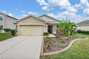 11905 AUTUMN CREEK DRIVE, RIVERVIEW, FL 33569 Sold 12/30/24