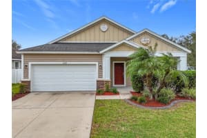 11539 BALINTORE DRIVE, RIVERVIEW, FL 33579 Sold 02/25/25