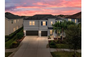 33370 AZALEA RIDGE DRIVE, WESLEY CHAPEL, FL 33545 Sold 12/25/24