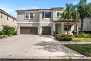 33370 AZALEA RIDGE DRIVE, WESLEY CHAPEL, FL 33545 Sold 12/25/24
