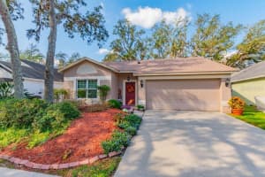 4009 FONTANA PLACE, VALRICO, FL 33596 Sold 12/20/24