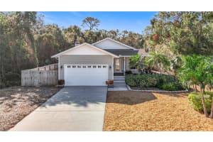 364 TERRACE ROAD, TARPON SPRINGS, FL 34689 Sold 07/11/25