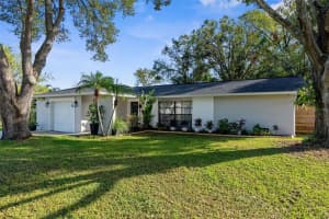14115 EASTLAND LANE, TAMPA, FL 33625 Sold 04/16/25