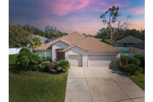 3101 WHITE PHEASANT PLACE, VALRICO, FL 33596 Sold 02/21/25