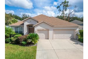 3101 WHITE PHEASANT PLACE, VALRICO, FL 33596 Sold 02/21/25