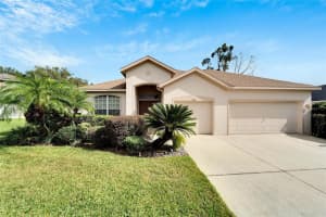 3101 WHITE PHEASANT PLACE, VALRICO, FL 33596 Sold 02/21/25