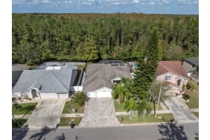 11401 GEORGETOWN CIRCLE, TAMPA, FL 33635 Sold 04/30/25