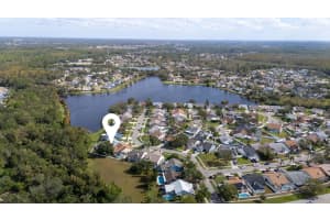 8725 BOYSENBERRY DRIVE, TAMPA, FL 33635 Sold 02/03/25