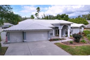 9359 WELLINGTON PARK CIRCLE, TAMPA, FL 33647 Sold 03/06/25