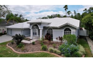 9359 WELLINGTON PARK CIRCLE, TAMPA, FL 33647 Sold 03/06/25