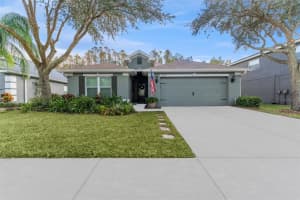 5838 SWEET WILLIAM TERRACE, LAND O LAKES, FL 34639 Sold 01/06/25