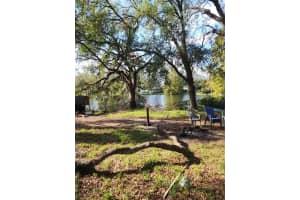10406 N BOULEVARD, TAMPA, FL 33612 Sold 12/09/24