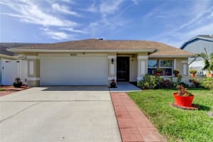 8622 THIMBLEBERRY LANE, TAMPA, FL 33635 Sold 06/14/25