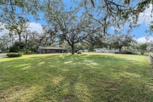 10217 TANNER ROAD, TAMPA, FL 33610 Sold 12/09/24