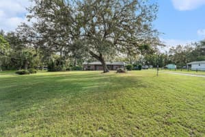 10217 TANNER ROAD, TAMPA, FL 33610 Sold 12/09/24
