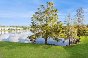 302 WOODLAKE WYNDE #3, OLDSMAR, FL 34677 Sold 01/28/25