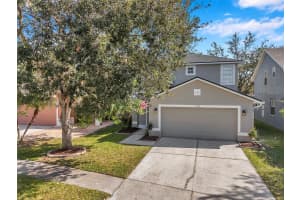7753 FOXGROVE DRIVE, LAND O LAKES, FL 34637 Sold 03/27/25