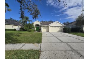 23149 EAGLES WATCH DRIVE, LAND O LAKES, FL 34639 Sold 12/16/24