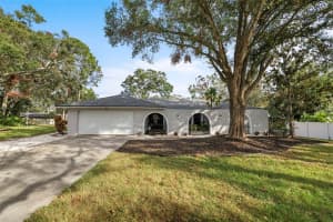 20 OAKWOOD COURT, PALM HARBOR, FL 34683 Sold 01/27/25