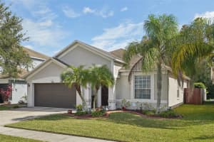 3208 DOWNAN POINT DRIVE, LAND O LAKES, FL 34638 Sold 12/18/24