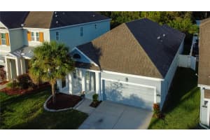 11309 QUIET FOREST DRIVE, TAMPA, FL 33635 Sold 12/30/24