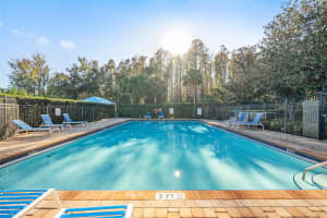 13465 STAGHORN ROAD, TAMPA, FL 33626 Sold 12/16/24