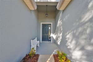 10401 RIVERDALE RISE DRIVE, RIVERVIEW, FL 33578 Sold 02/28/25