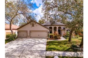 10422 HARVESTIME PLACE, RIVERVIEW, FL 33569 Sold 02/20/25