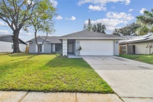 11022 ASHBOURNE CIRCLE, TAMPA, FL 33624 Sold 02/26/25