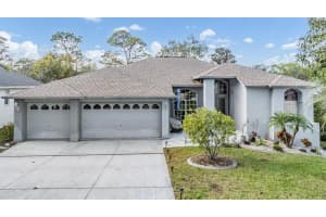 6481 MULLIGAN COURT, SPRING HILL, FL 34606 Sold 12/10/24