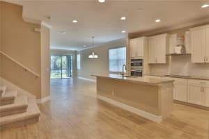 345 VILLA CORTE DRIVE, LUTZ, FL 33549 Sold 01/27/25