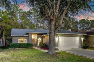 16011 ROYAL ABERDEEN PLACE, ODESSA, FL 33556 Sold 04/17/25