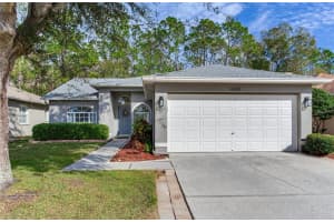 16011 ROYAL ABERDEEN PLACE, ODESSA, FL 33556 Sold 04/17/25