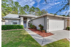 16011 ROYAL ABERDEEN PLACE, ODESSA, FL 33556 Sold 04/17/25
