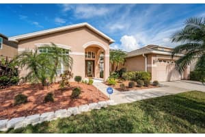 8911 RIVER ROAD, TAMPA, FL 33635 Sold 02/14/25