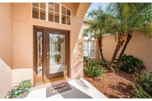 8911 RIVER ROAD, TAMPA, FL 33635 Sold 02/14/25