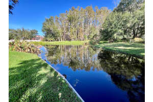 3429 REYNOLDSWOOD DRIVE, TAMPA, FL 33618 Sold 12/27/24